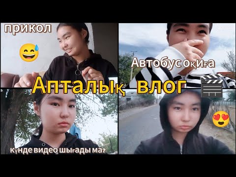 Видео: АПТАЛЫҚ ВЛОГ 🎬😍/автобус оқиға 🥲/күнде видео шығады 🫶🏻 |Araika