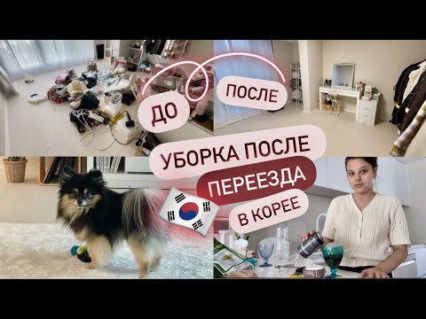 Видео: НАЧАЛО УБОРКИ В НОВОЙ КВАРТИРЕ В КОРЕЕ 🇰🇷 ПОКУПКИ ДЛЯ ДОМА/ КАК ВСЕ МЕНЯЕТСЯ?