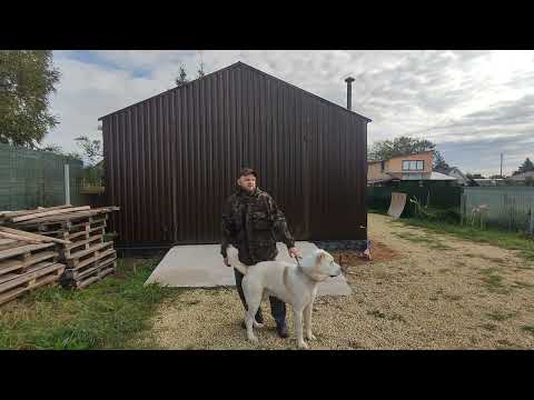 Видео: ГАРАЖ МЕЧТЫ 2:0 обзор и финальный отчёт!