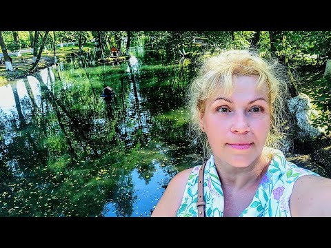 Видео: ПЕРЕСЕЛЕНЦЫ в Закарпатье🌄БУШТЫНО Заброшенный Лагерь "ТИСА"🏡 Реликтовый лес🌲 ЛЕБЕДИ🦢 горы Карпаты