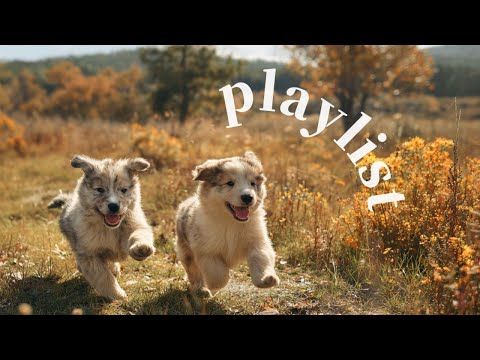 Видео: [playlist] Нужно немного грува? Он здесь! 🎶 | R&B | чилл-поп | музыка для работы | кафе