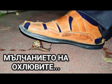 Видео: ДА МАЧКАШ, ЗА ДА ПРОСПЕРИРАШ! НА ТОВА ЛИ ДА УЧИМ ДЕЦАТА СИ? ТОВА ЛИ СА ЦЕННОСТИТЕ НА НОВОТО ВРЕМЕ?