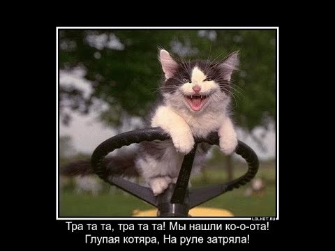 Видео: 0.3.1 ♥ ВиХри ♥ PATH OF EXILE 2 ♥ 400 рарити!  Как я Делаю Диваны!