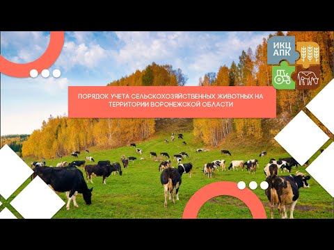 Видео: Запись семинара  от 5 октября 2023 года