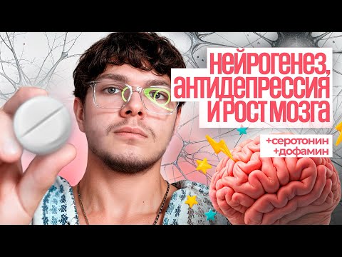 Видео: NSI-189 — нейрогенез, антидепрессия и рост мозга: правда о редком ноотропе