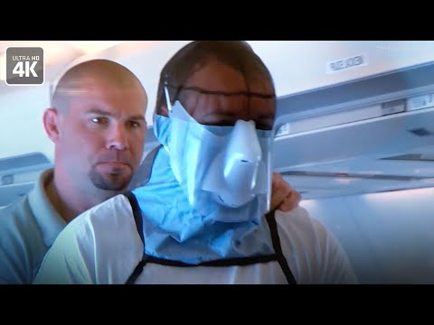 Видео: Как работает «защита» свидетелей