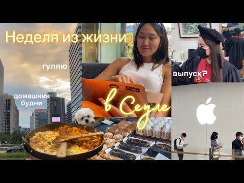 Видео: Weekly vlog| ПОСЛЕДНЯЯ НЕДЕЛЯ КАНИКУЛ В СЕУЛЕ | Встречи с друзьями, расслабленные будни