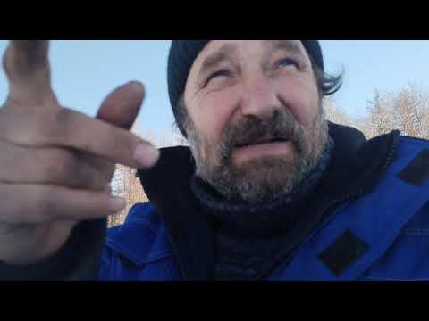 Видео: Собакам сено косить !Или проверка сетей на карасика .проверка тычек.