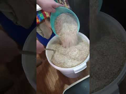 Видео: Делаю Бурбон из кукурузной крупы на Кодзи