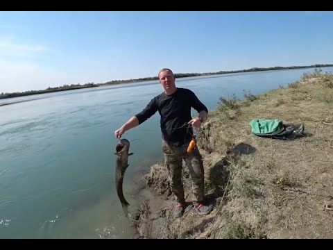 Видео: Рыбалка в Баканасе
