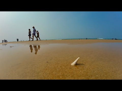 Видео: ОТПУСК В ДЕРЕВНЕ Calangut  . Goa 2025 г.