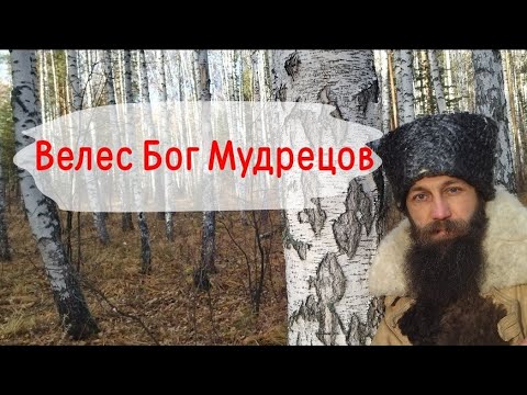 Видео: Получить тайные знания, может каждый🌲 #лесогор #велес #язычники