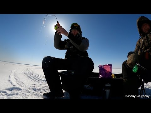 Видео: Отличная весенняя рыбалка на судака. Хапок судака на водохранилище