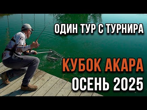 Видео: Один тур с турнира по ловле прудовой форели Кубок АКАРА осень 2025