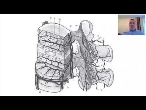 Видео: 28 февраля 2021 г.
