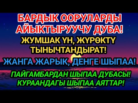 Видео: БАРДЫК ООРУЛАРДЫ АЙЫКТЫРУУЧУ ДУБА!ЖУМШАК ҮН, ЖҮРӨКТҮ ТЫНЫЧТАНДЫРАТ! 🤲