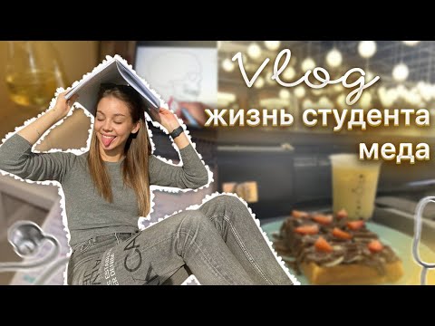 Видео: VLOG: МОЯ ПОДГОТОВКА К СЕССИИ