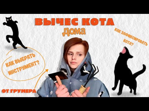 Видео: Рассказывает грумер | Как вычесать кота? как выбрать расческу для кота? как зафиксировать?