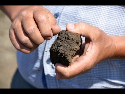 Видео: Организация системы севооборотов. Технология No-Till. КФХ "Потапов".