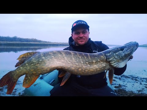 Видео: Рыбалка в ноябре на воблеры и крупная щука на один крючок!!!