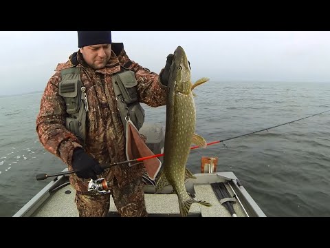 Видео: Рыбалка 2015: Ловля щуки зимой по открытой воде