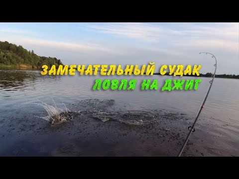 Видео: Замечательный судак. Ловля на джиг