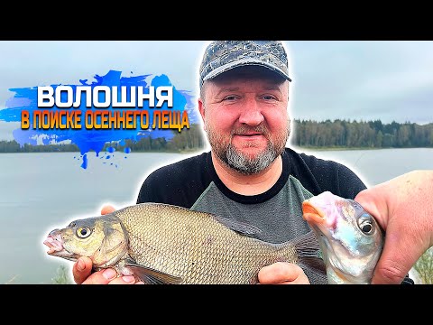 Видео: ВОЛОШНЯ,В ПОИСКАХ ОСЕННЕГО ЛЕЩА  Часть 1-ая.