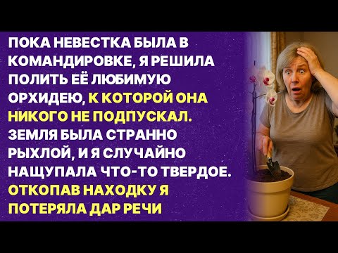 Видео: Невестка скрывала это в горшке с цветами. Находка изменила всё