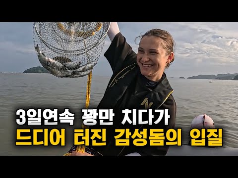 Видео: Наконец-то улов, после трех дней неудачной рыбалки в Корее!