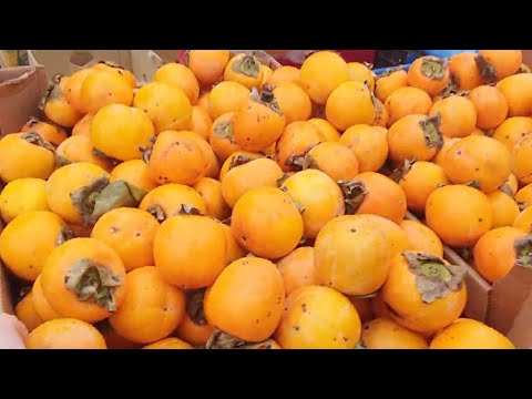 Видео: Ейск. Ярмарка в последние выходные ноября.