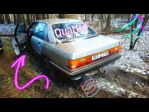 Видео: Audi 100 c3 Quattro Купил живую