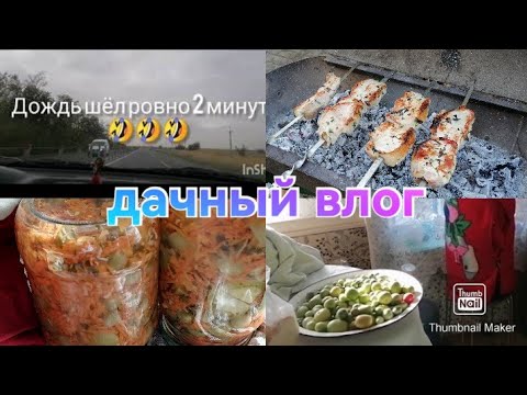 Видео: Собрали весь урожай / Закрыли сезон шашлыком / Заболела / Что же с клубникой????