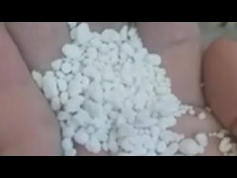 Видео: Гүлдің топырағына қосатын қоспаларым