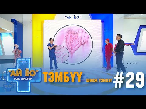 Видео: ТЭМБҮҮ ШИНЖ ТЭМДЭГ Ай ёо ток шоу