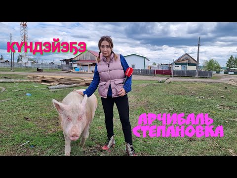 Видео: Күндэйэҕэ - Арчибаллыын көрсүһэ! Бэс ыйа, 2023 сыл.