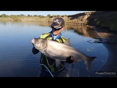 Видео: Пензенская  Deaf Рыбалка