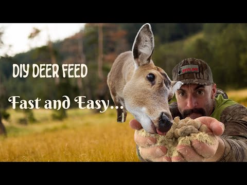 Видео: ДОМАШНИЙ корм для оленей... Они его терпеть не могут... #охота