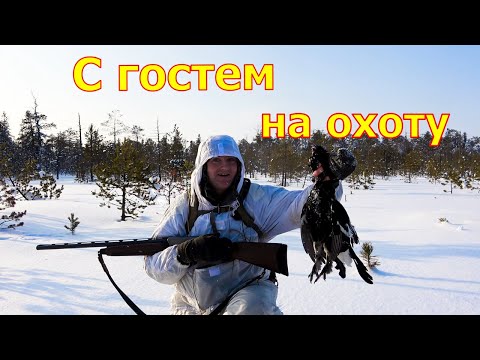 Видео: С гостем на охоту.