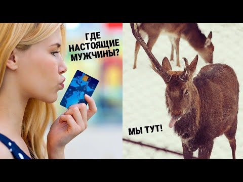 Видео: ВЫМЕР НАСТОЯЩИЙ МУЖИК! | Где брать услужливого халдея?