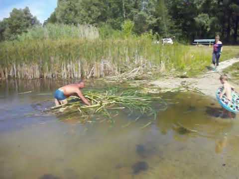 Видео: Прибирання зони відпочинку на озері Кузьминське