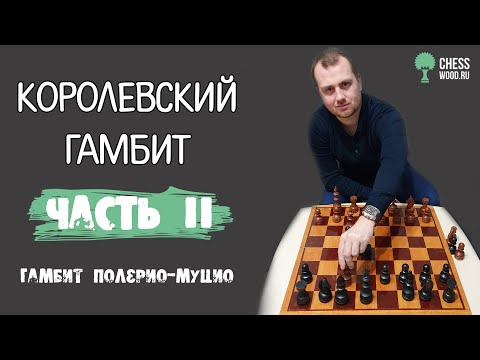 Видео: Королевский гамбит. Гамбит Полерио-Муцио. Часть II.