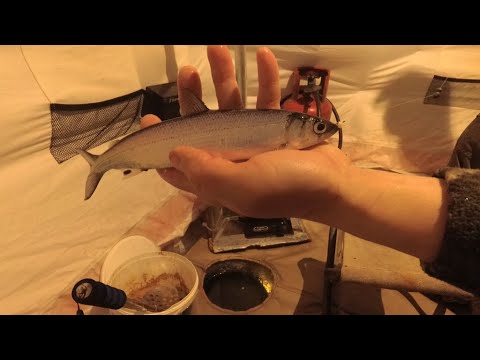 Видео: Ловля рипуса на Увильдах декабрь 2020