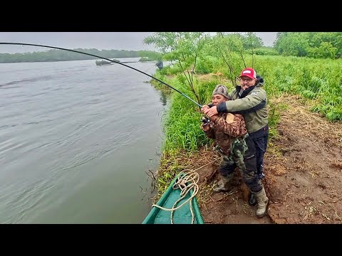 Видео: ОГРОМНАЯ РЫБА ТАЩИТ МУЖИКОВ В ВОДУ! ЭТО РЫБАЛКА НА КАМЧАТКЕ