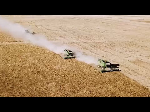 Видео: АТРЫН ЖАРАН