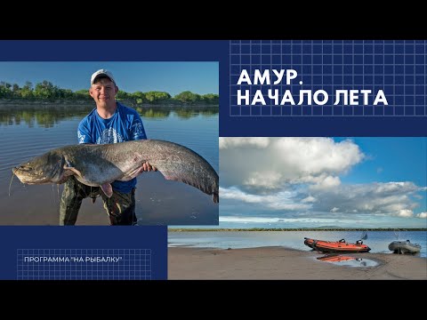 Видео: Амур. Начало лета