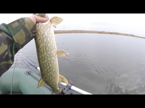 Видео: Главная ошибка увлечённых твичингом воблеров.