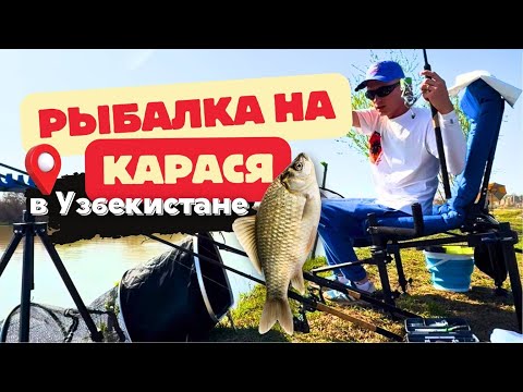 Видео: Рыбалка в Узбекистане 🎣 карась на речке Ахангаран (Ташкентская область) 🐟 02.04.2025