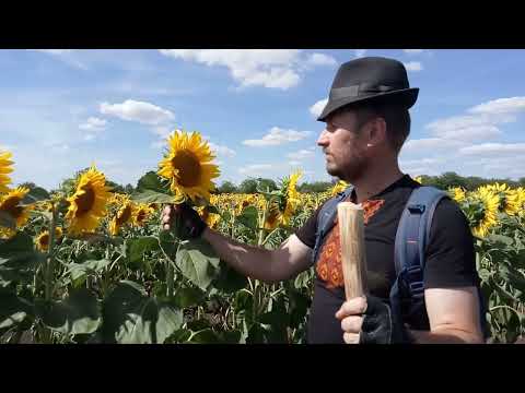 Видео: Босиком. Экспедиция №37