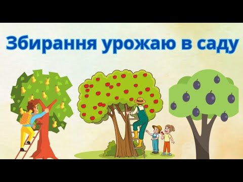 Видео: Природний світ- "Збирання урожаю в саду"#дошкільнаосвіта#дистанційнаосвіта 