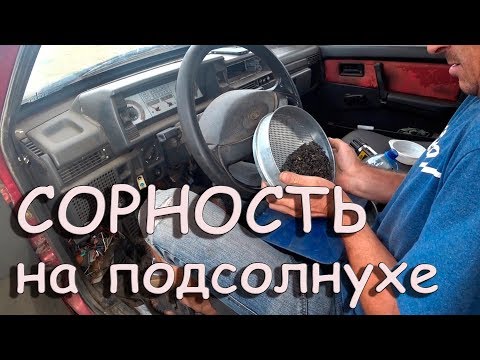 Видео: Как перекупы сорность подсолнуха проверяют! ДОН-1500Б